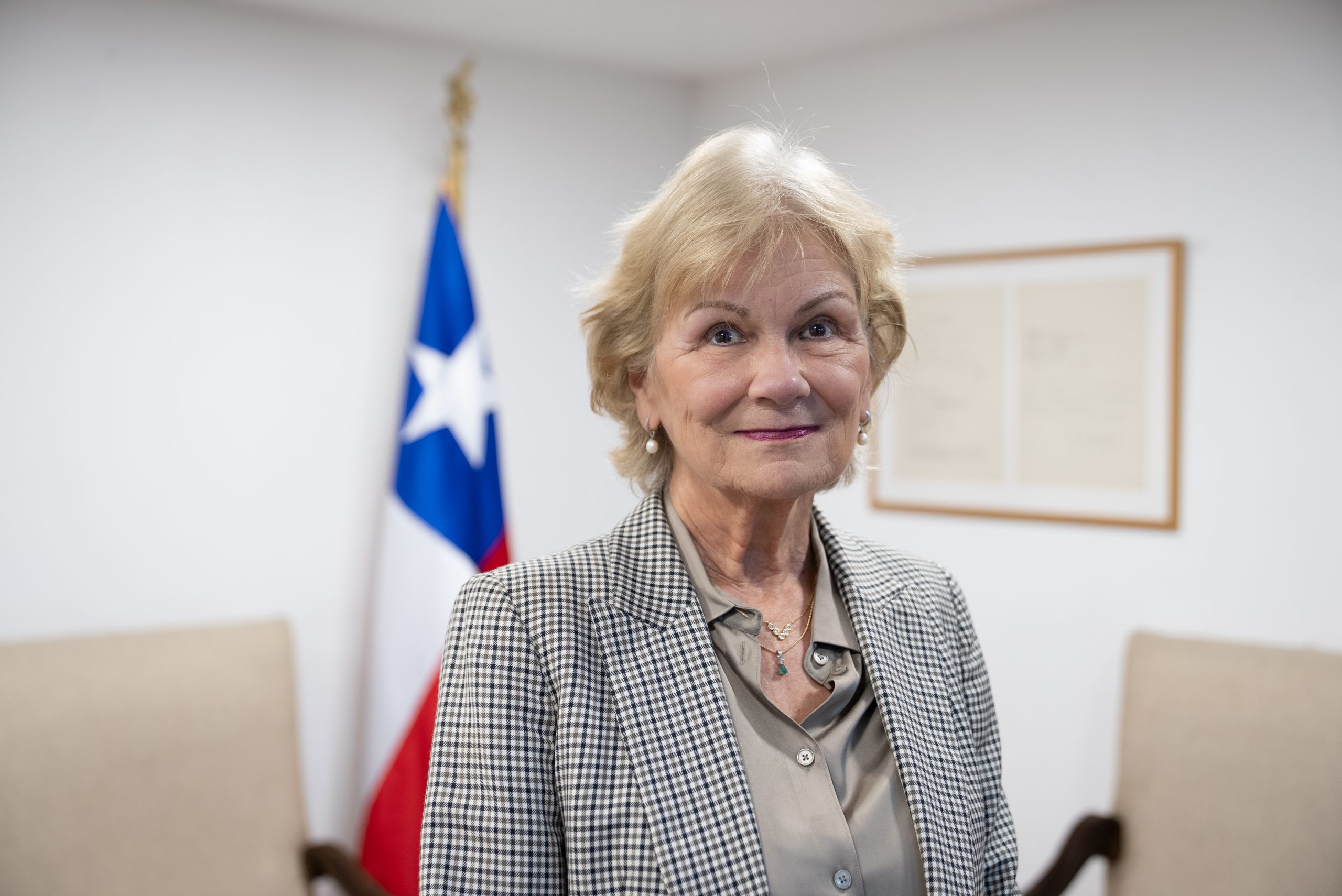 Ana María Stuven Vattier es reconocida con el Premio Nacional de Historia 2026
